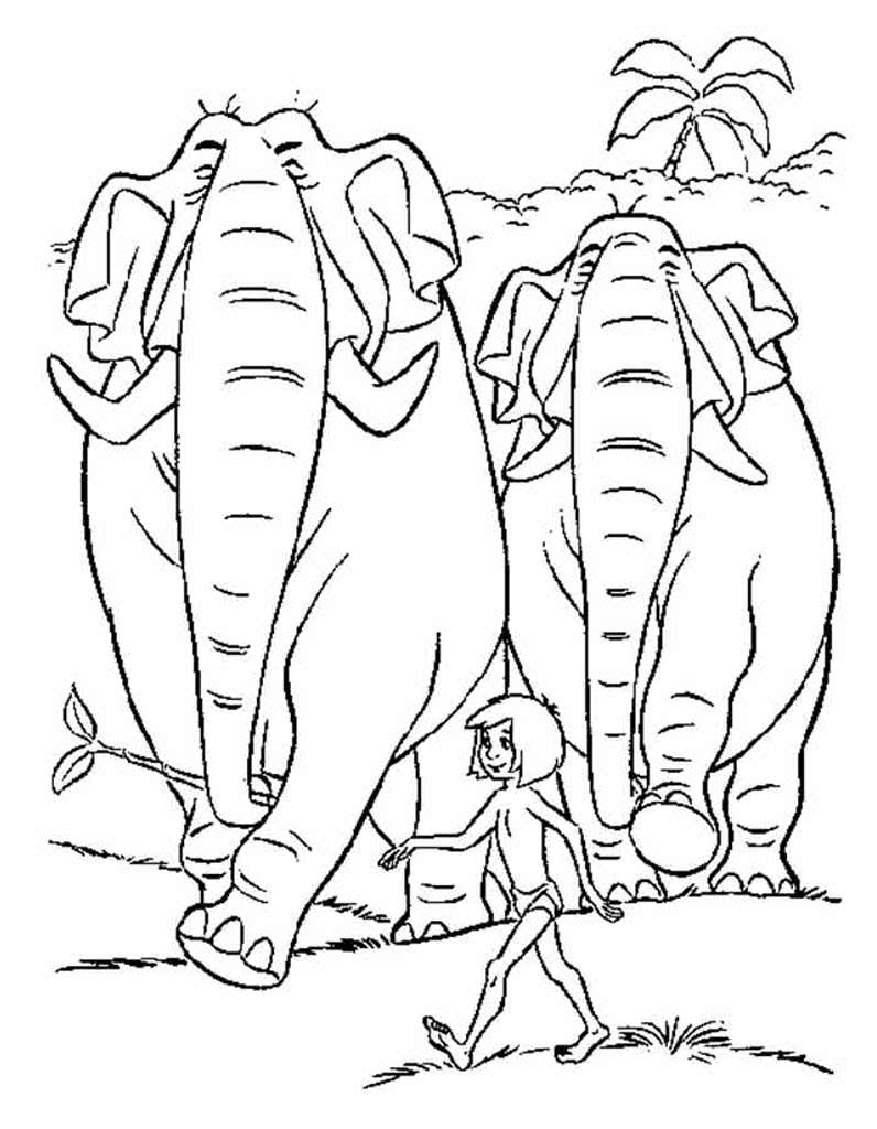 Два огромных слона и Маугли