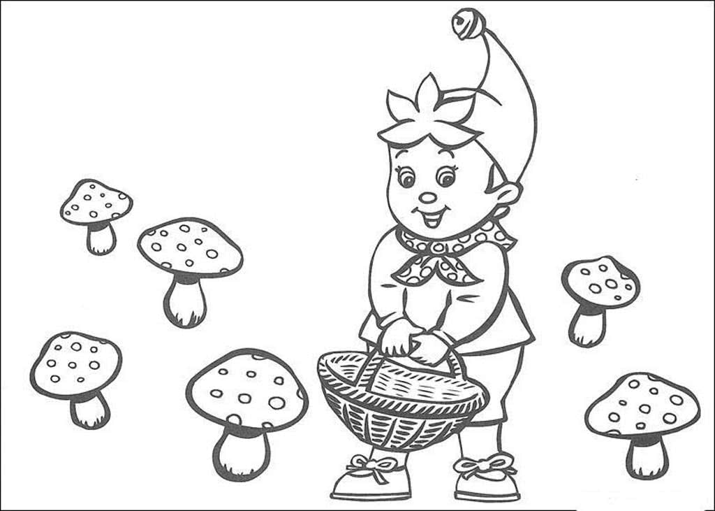 Гном Нодди собирает грибы