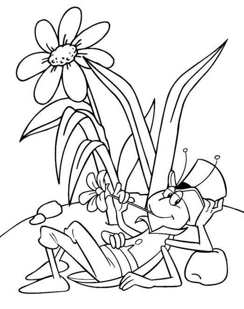 Кузнечик и цветок раскраска
