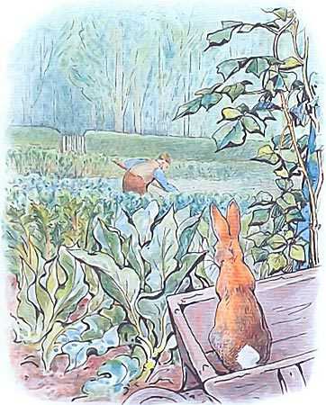 Сказка про Питера-кролика