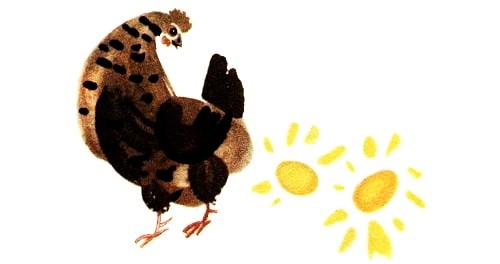 Курица и золотые яйца