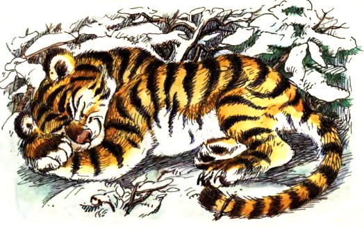 Сказка про тигренка на подсолнухе