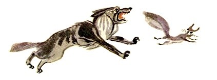 Волк и белка