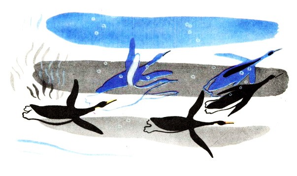 Пересказ снегирева про пингвинов в старшей группе. Пингвиний пляж Снегирев. Пингвины Снегирев Пингвиний пляж. Снегирев про пингвинов. Отважный Пингвиненок Снегирев.