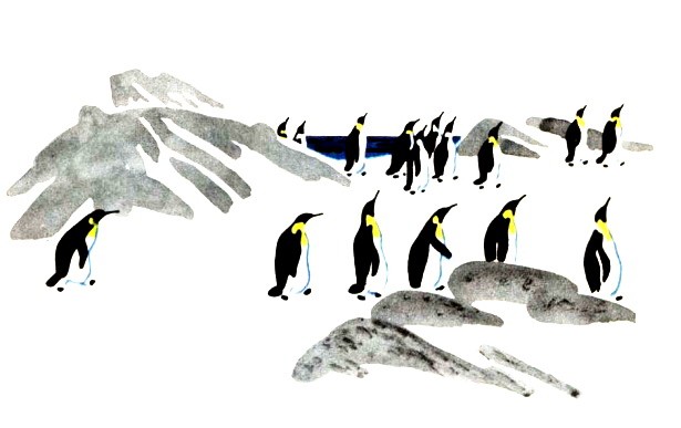 Чтение про пингвинов в старшей группе. Пингвины Снегирев Пингвиний пляж. Снегирев г я про пингвинов. Пингвиний пляж рассказ г.Снегирева. Г. Снегирёв "про пингвинов" 11.