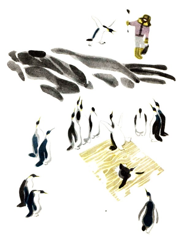 Пингвиний пляж Снегирев. Снегирёв про пингвинов. Г. Снегирёв "про пингвинов" 11. Среди пингвинов есть и драчуны найти