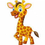 У жирафов