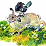 Сорока и заяц