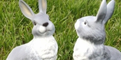 Почему у зайцев короткие хвосты или Приключение зайчат