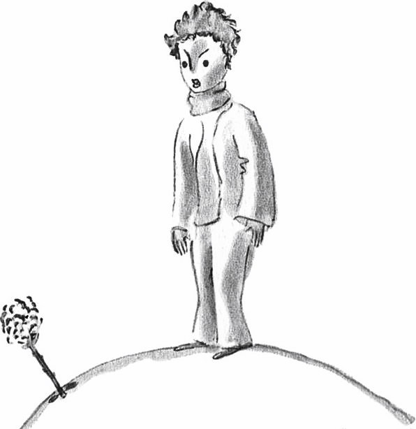 Ироническое изображение носителей общественных пороков в сказке маленький принц