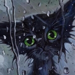 Кошка под дождём