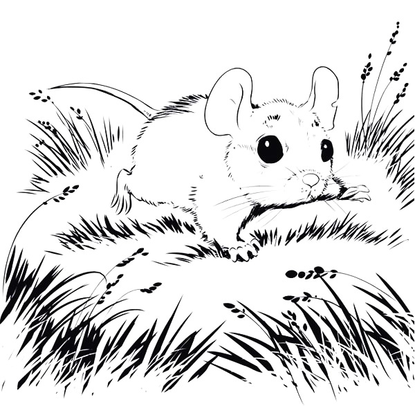 Испуганный мышонок Пик бежит среди травы