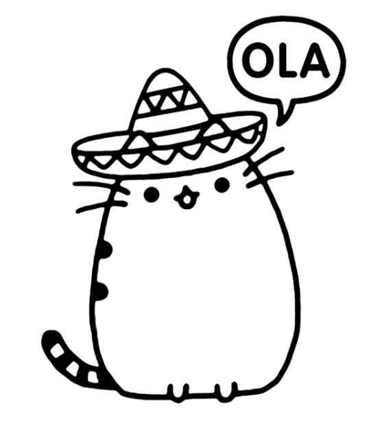 Кот Пушилин в мексиканской шляпе